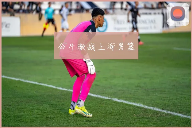 公牛激战上海男篮