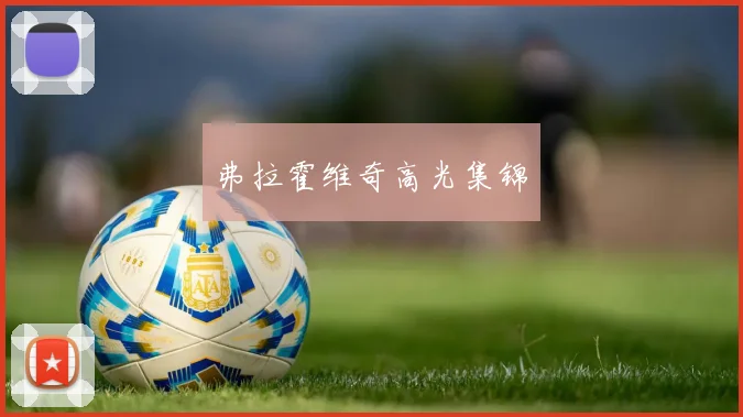弗拉霍维奇高光集锦
