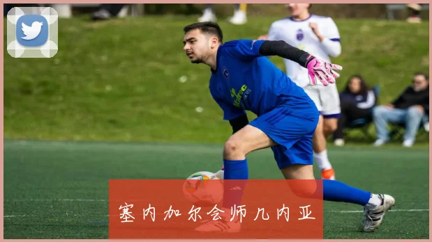 塞内加尔会师几内亚